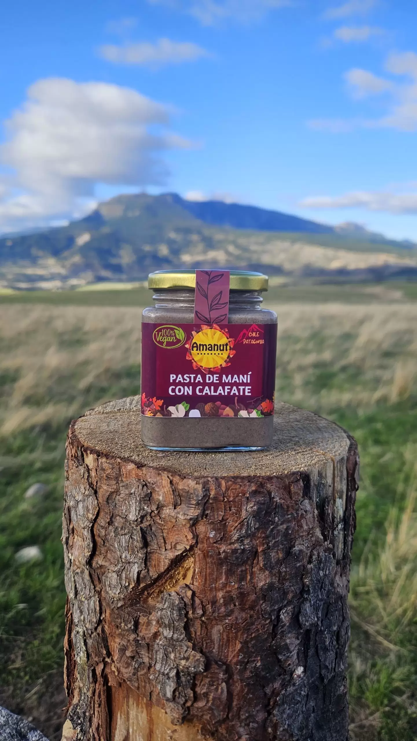 PASTA DE MANI CON CALAFATE - Imagen 4