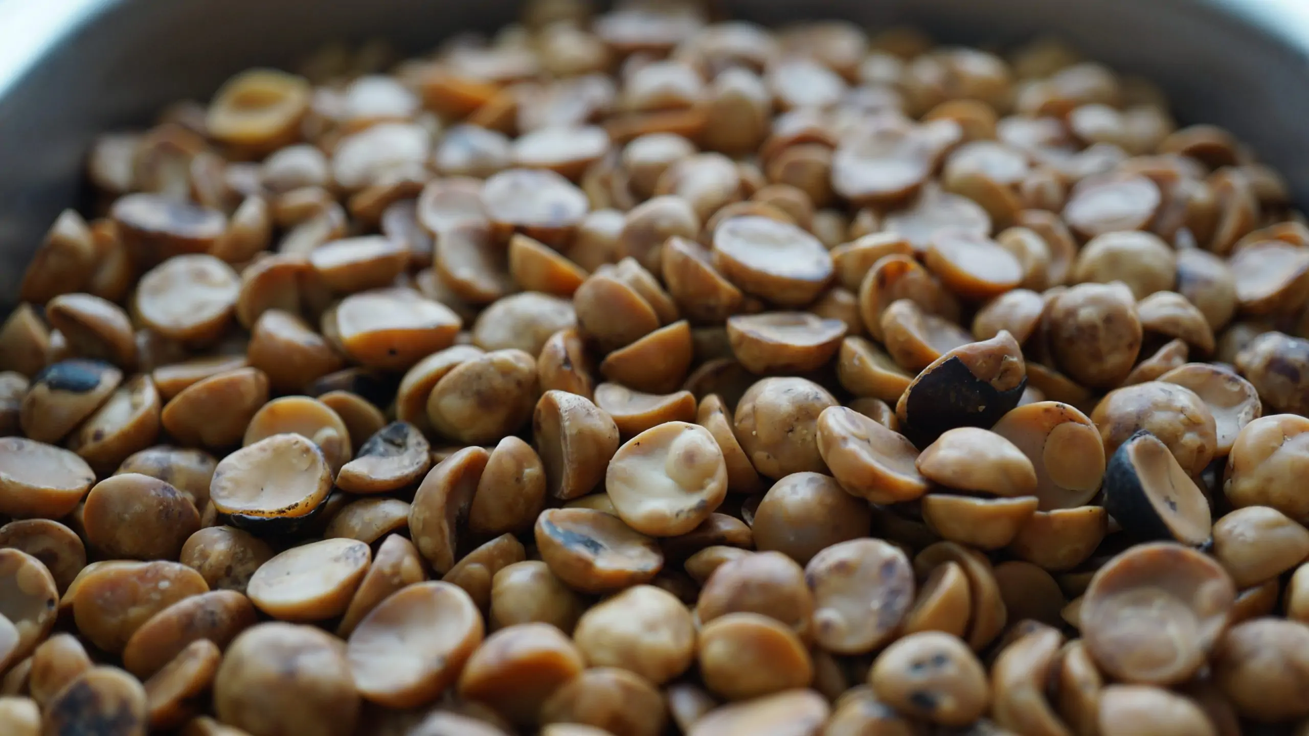 AVELLANA NACIONAL TOSTADA 100 GRAMOS