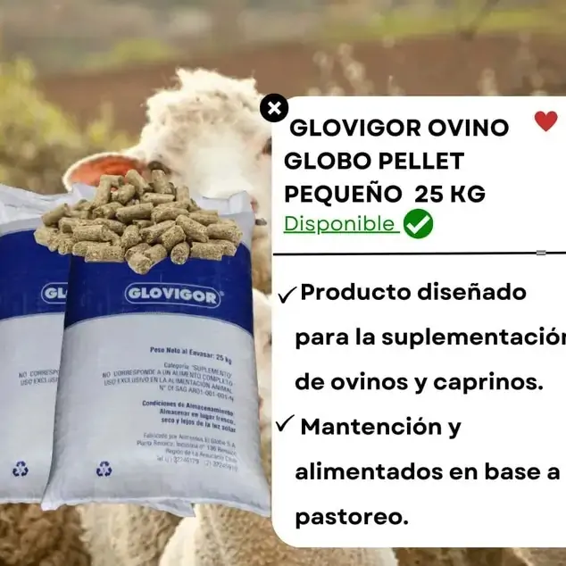 Glovigor ovino