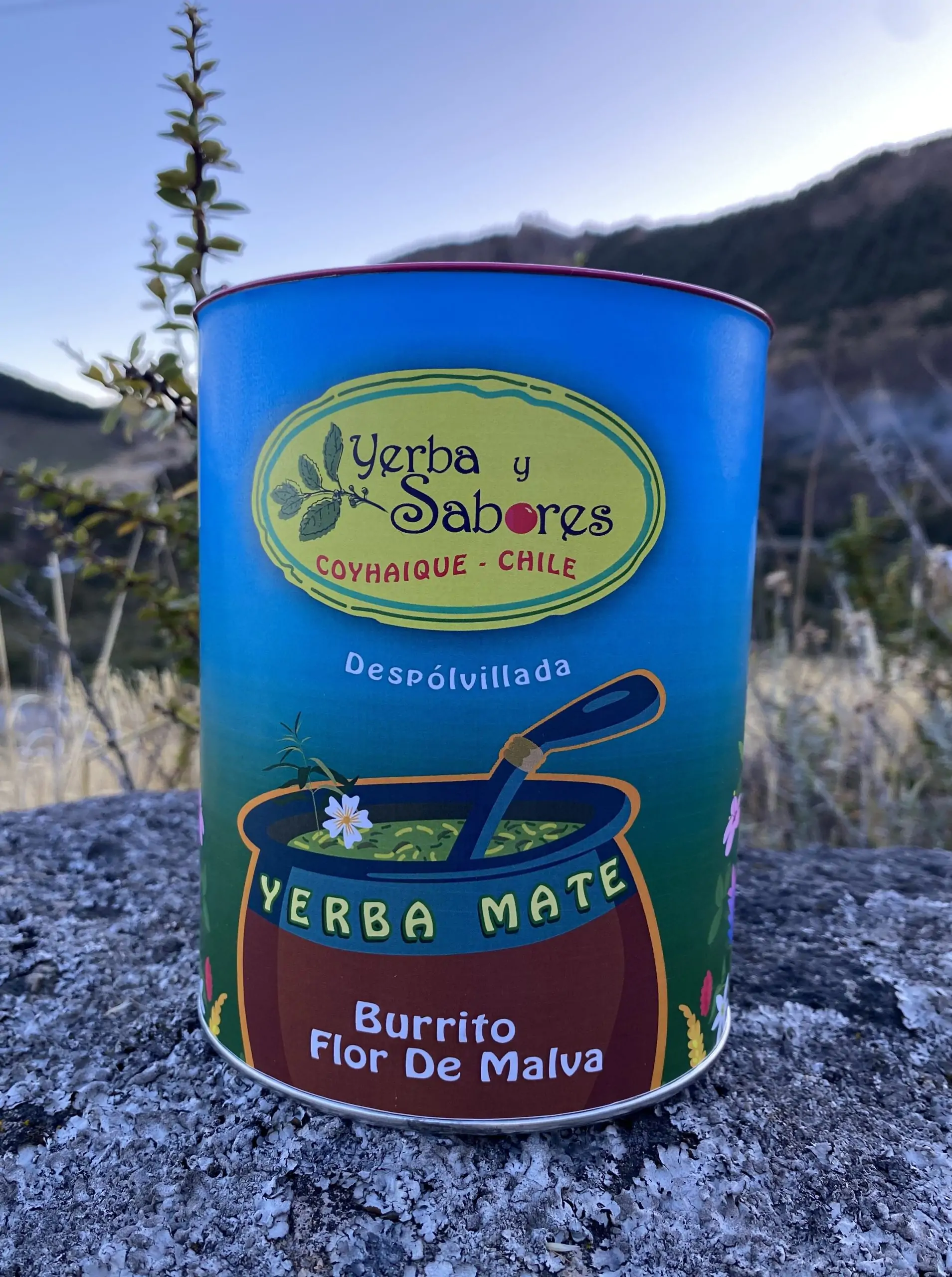 Yerba Mate Orgánica - Imagen 5