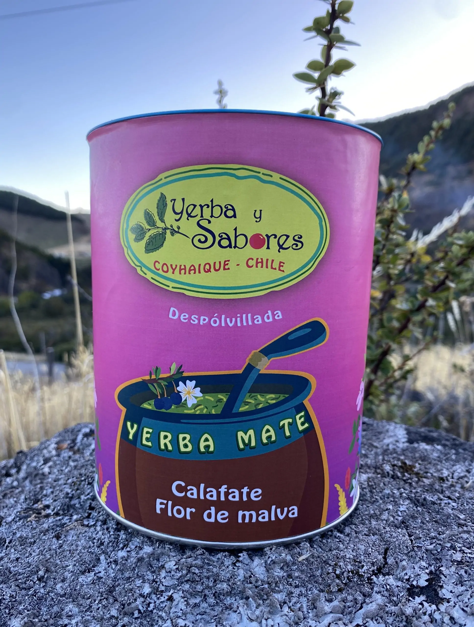 Yerba Mate Orgánica - Imagen 4