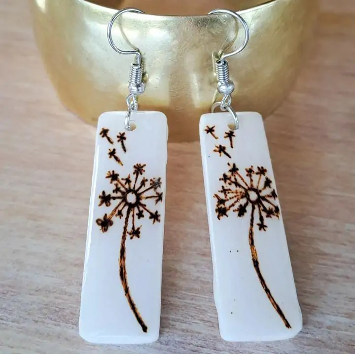 Aros de hueso de vacuno (osobuco)