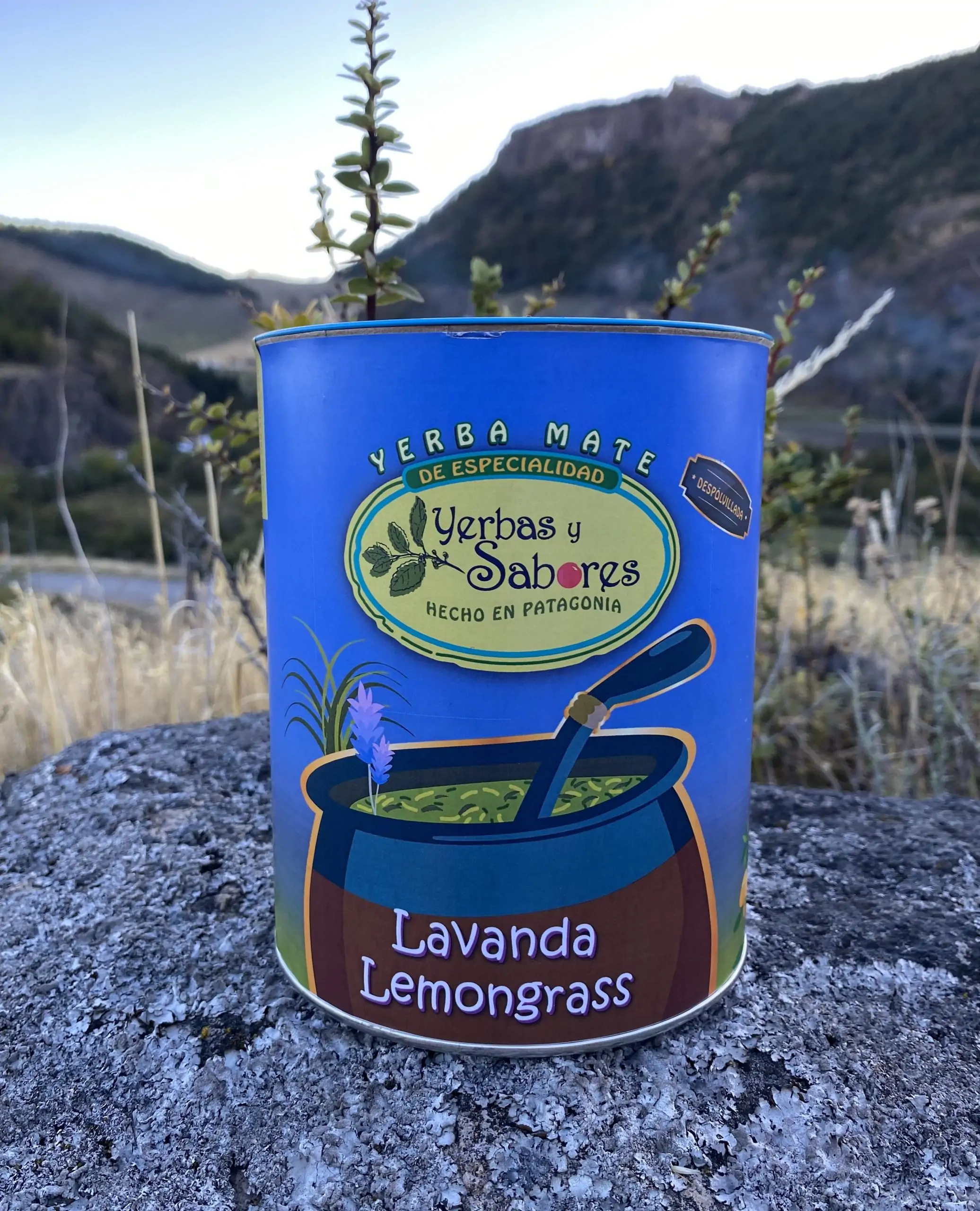 Yerba Mate Orgánica - Imagen 3