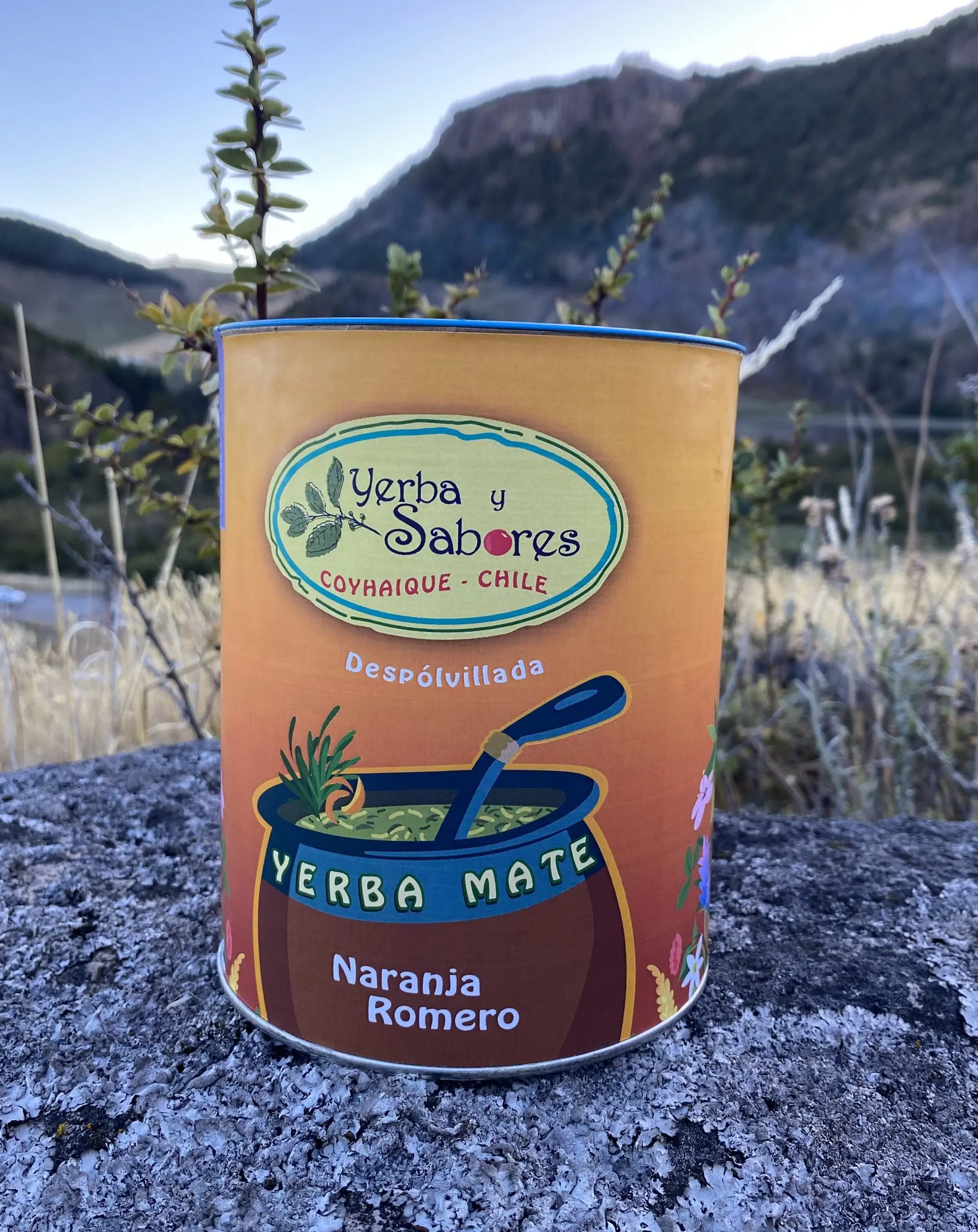 Yerba Mate Orgánica - Imagen 2