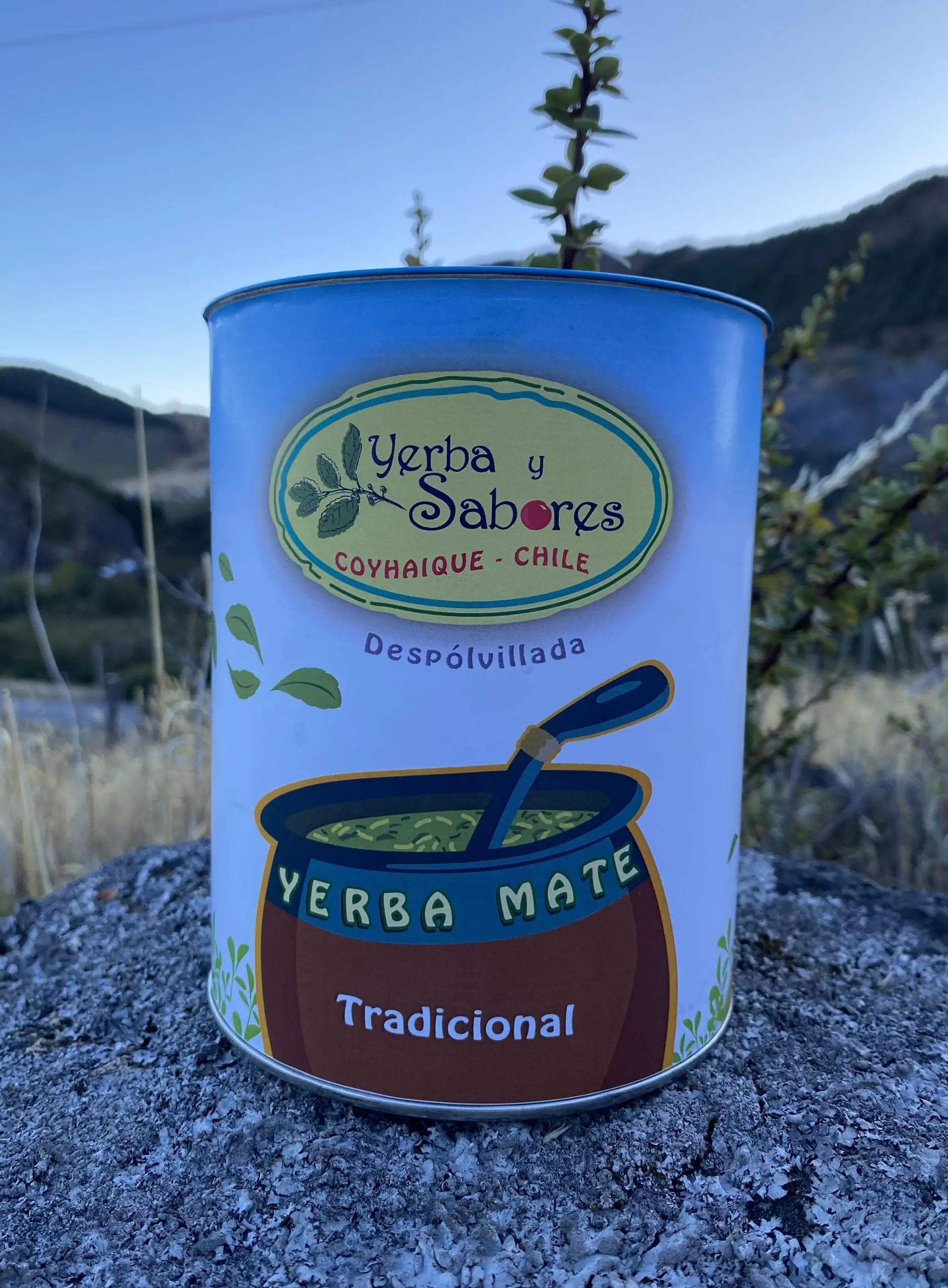 Yerba Mate Orgánica - Imagen 6