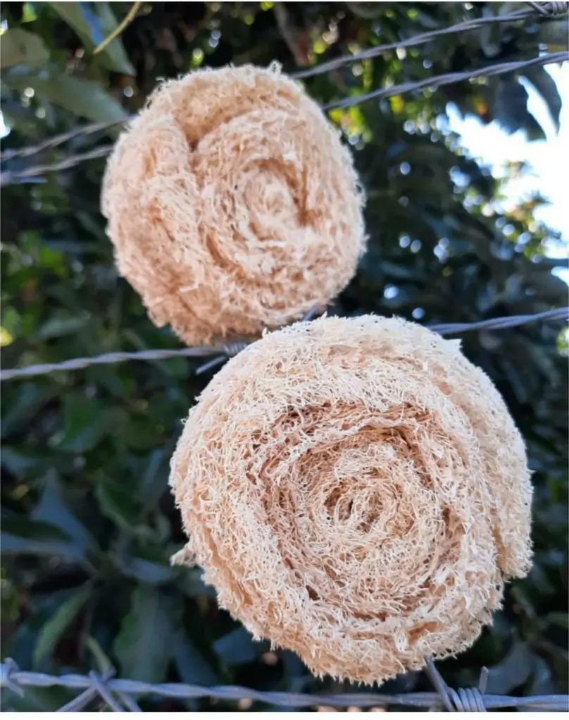 Esponja Tipo Virutilla Compostable