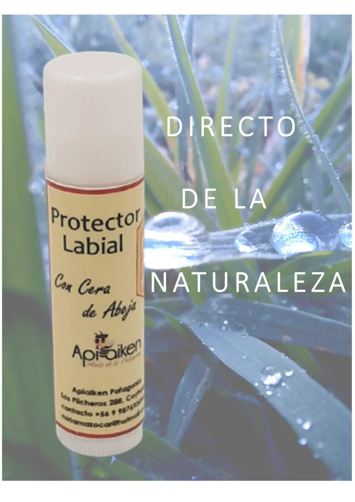 Protector Labial Cera de Abeja